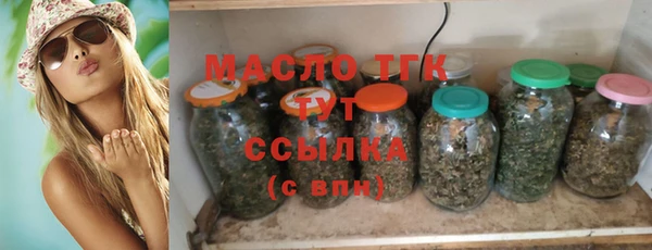 молекула духа Лабытнанги