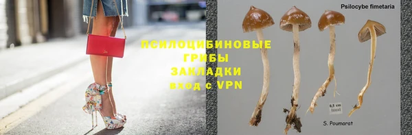 первитин Кукмор