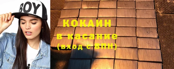 индика Нефтекумск