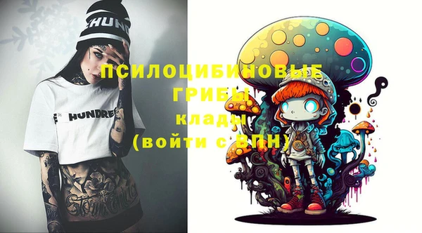 первитин Кукмор