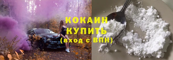 молекула духа Лабытнанги