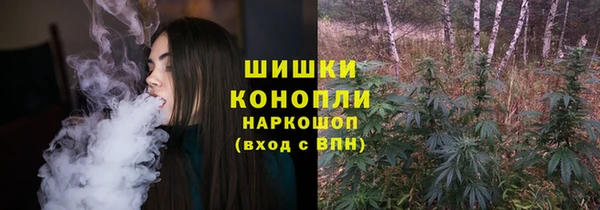 спиды Лагань